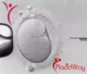 Slider image (10) Main Line Fertility Center